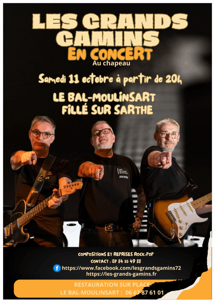 LGG LE BAL MOULINSART